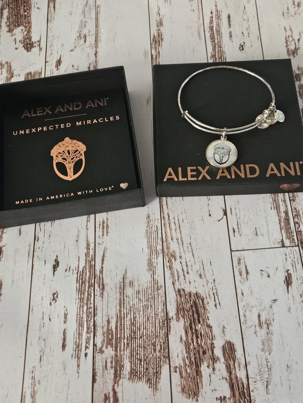 Alex and Ani Silver Unexpected Miracles
